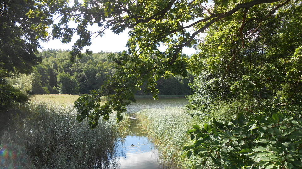 Ekholmsnässjöns smala mynning. Foto Lidingö stad