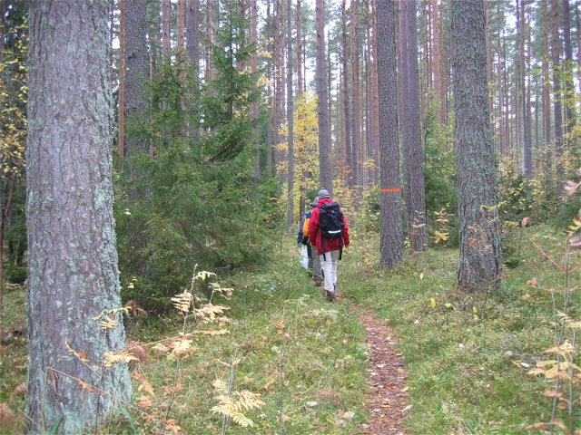 The Uppland Trail, section 14, 19.5 km
