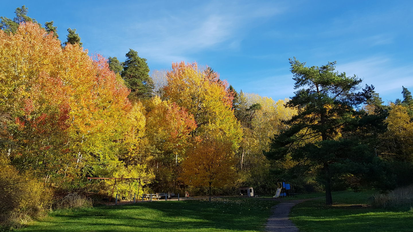 Kyttingeparkens lekplats. Foto Lidingö stad
