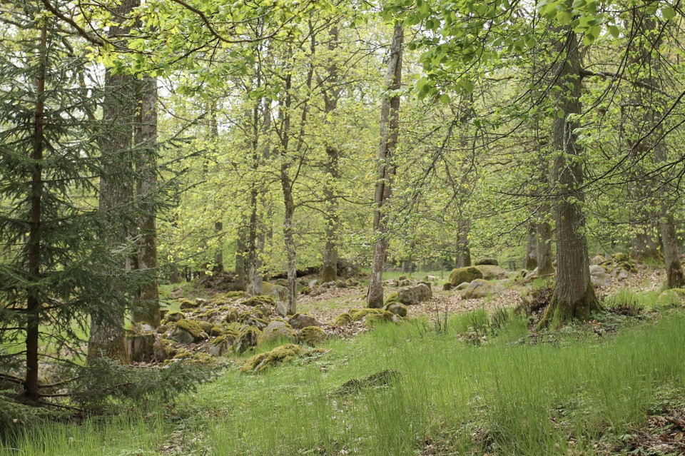 Foto: Josefine Gustafsson