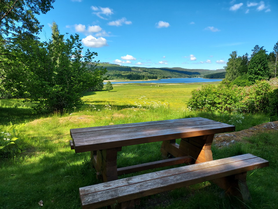 Rastbord som står omgiven av buskar och med utsikt över strandäng och vattnet.