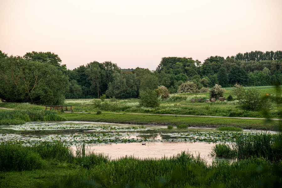 Höjeådalen är Lunds nyaste naturreservat.