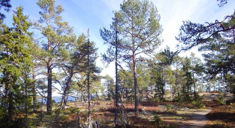 Långörens naturreservat.
