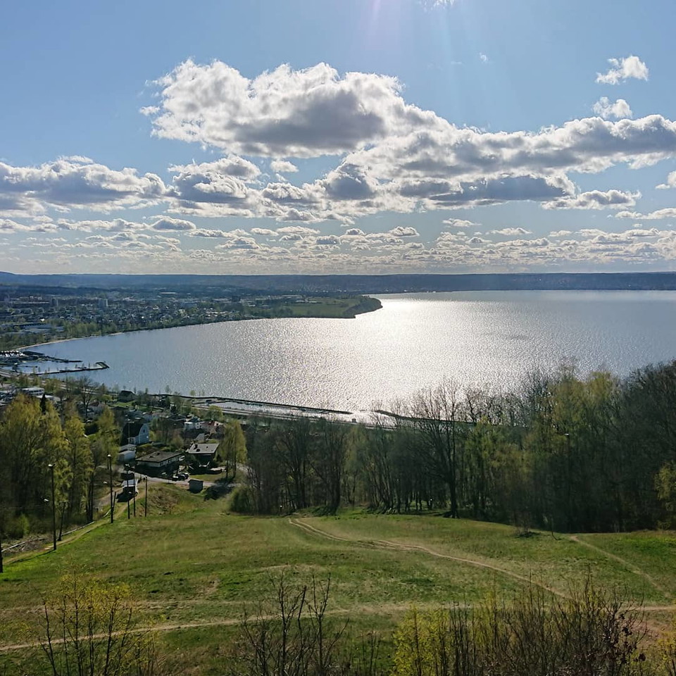 Strutsabacken