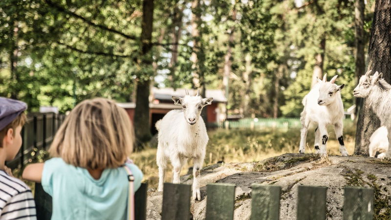 The Lillskogen zoo