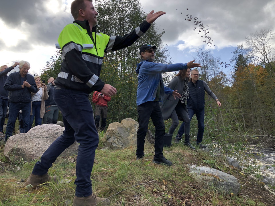 Tre män och en kvinna slänger grus i en fors.