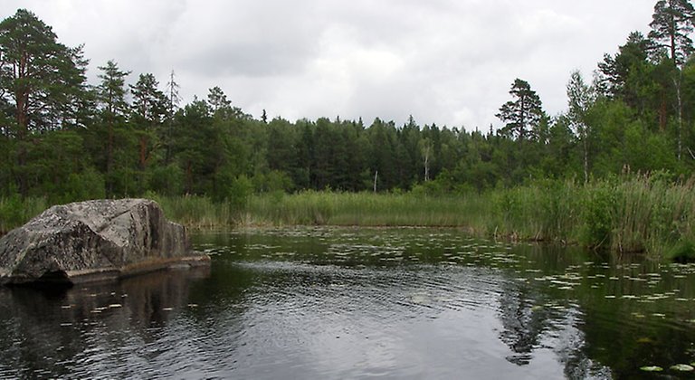 Ormön är trots namnet inte en ö, utan har landförbindelse.