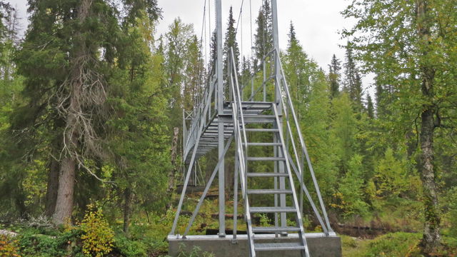 Suspension bridge Vallebäcken, east