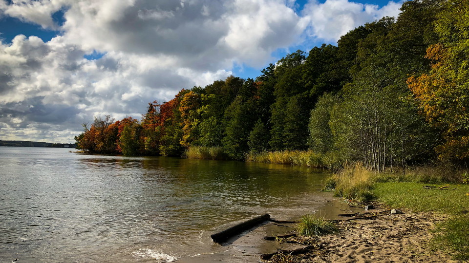Fridhemsbadet med vackert höstfärgade lövträd i bakgrunden.
