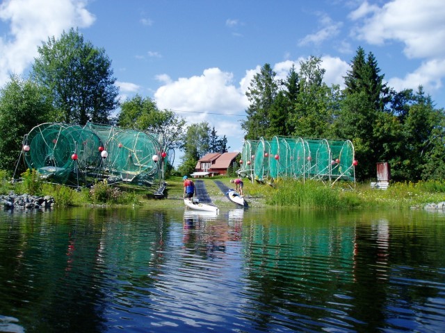 Startplats Gåsholma