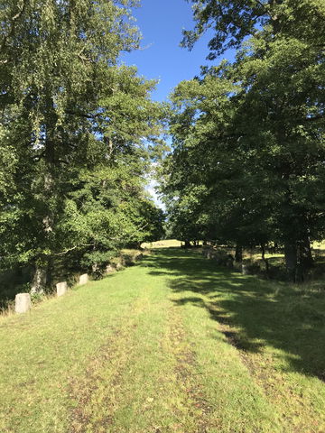 Vandringsled  Toftaholm naturreservat(2,3 kilometer)