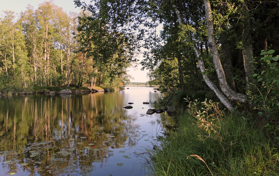 Kolbäcksån flyter fram läng naturreservatets strand.