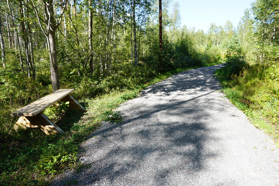 Motionsspår i skogsmiljö