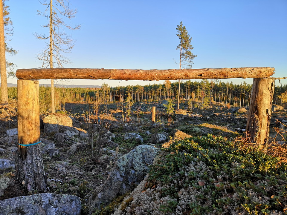 Moraberget