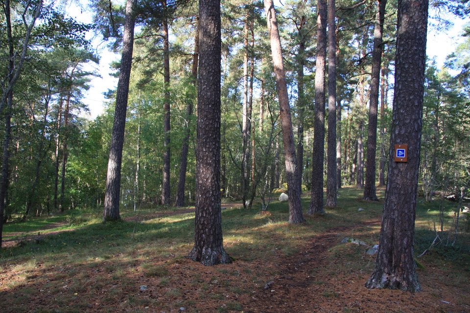 I området finns flera cykelstigar