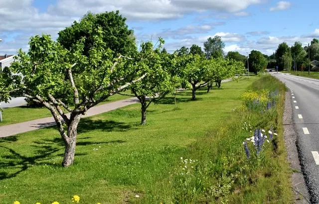 Digital tipspromenad: Lindholmen-Mörbytorp