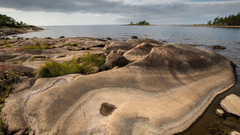 Dyrön naturreservat