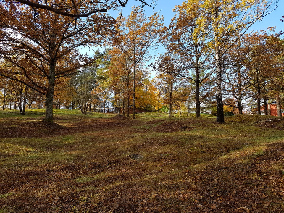 Bo gravfält. Foto Lidingö stad.