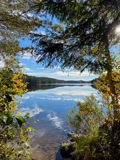 Bo nära naturen.