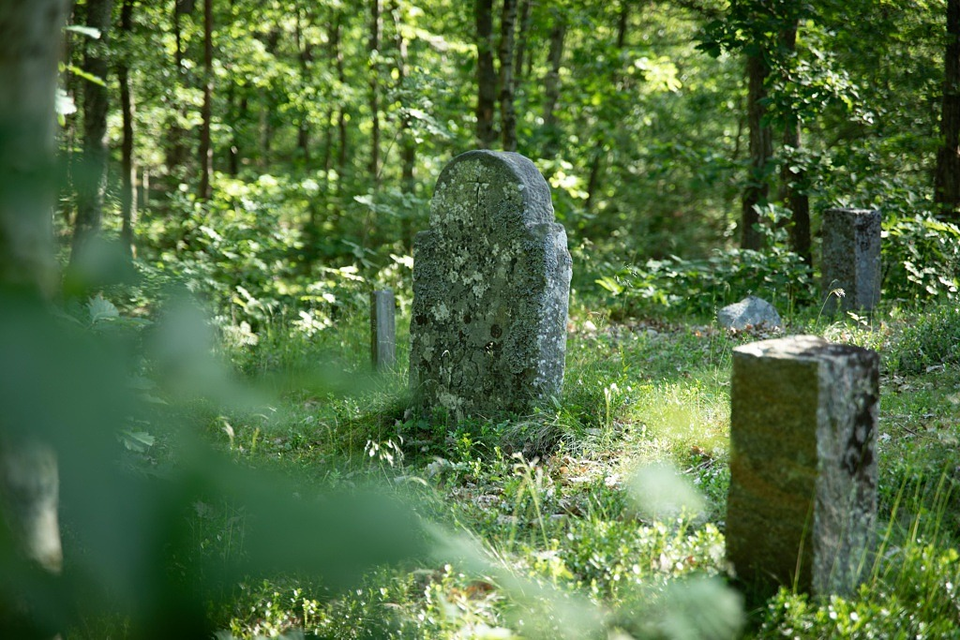 Kolerakyrkogården