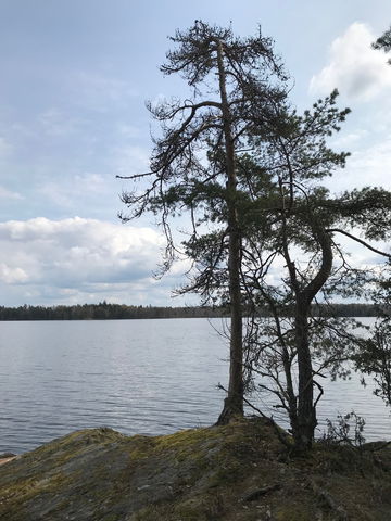 Stig (Längd: 250 meter) Ushults Domänreservat