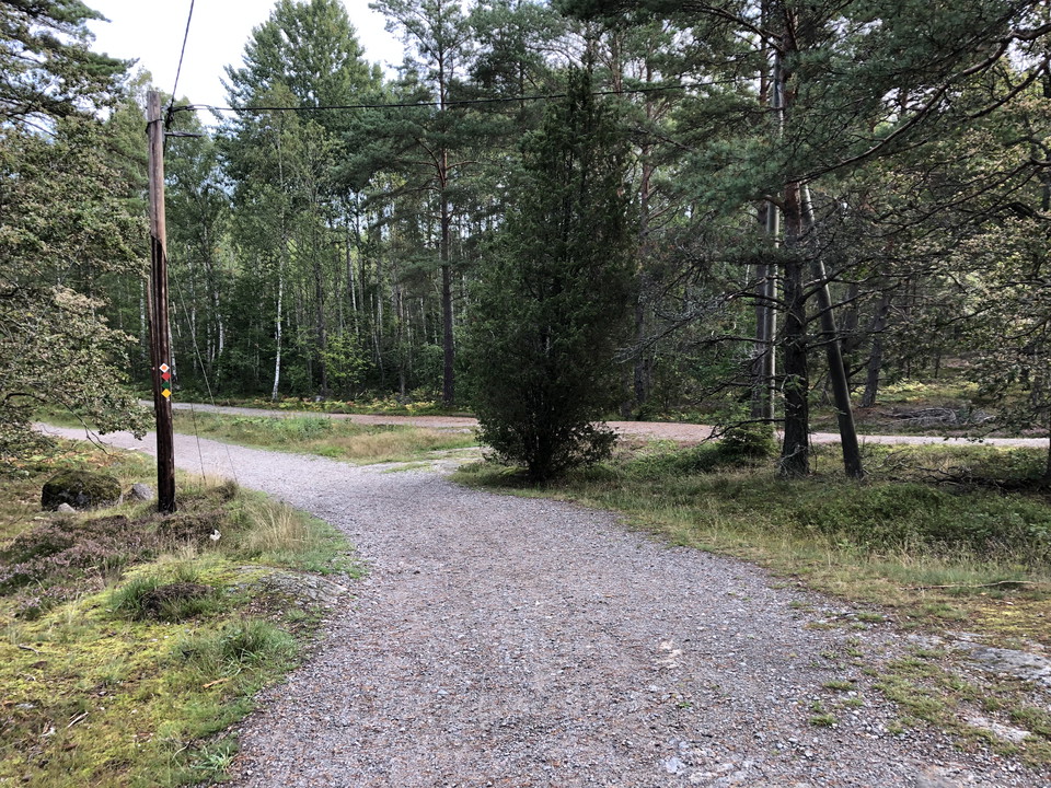 I området finns flera spår