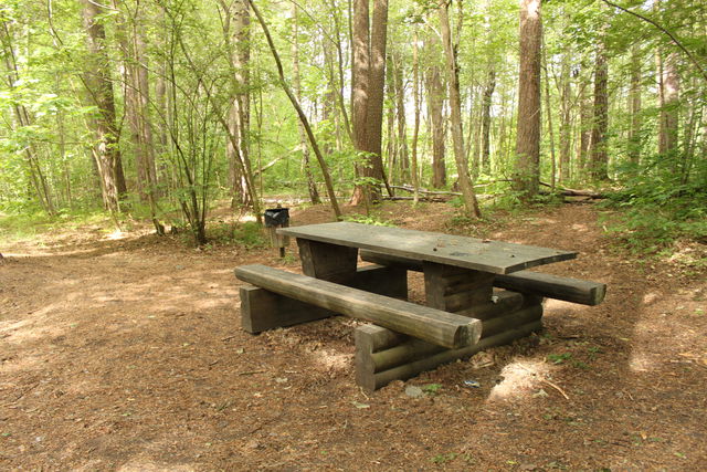 Rastplats, Stadsskogen