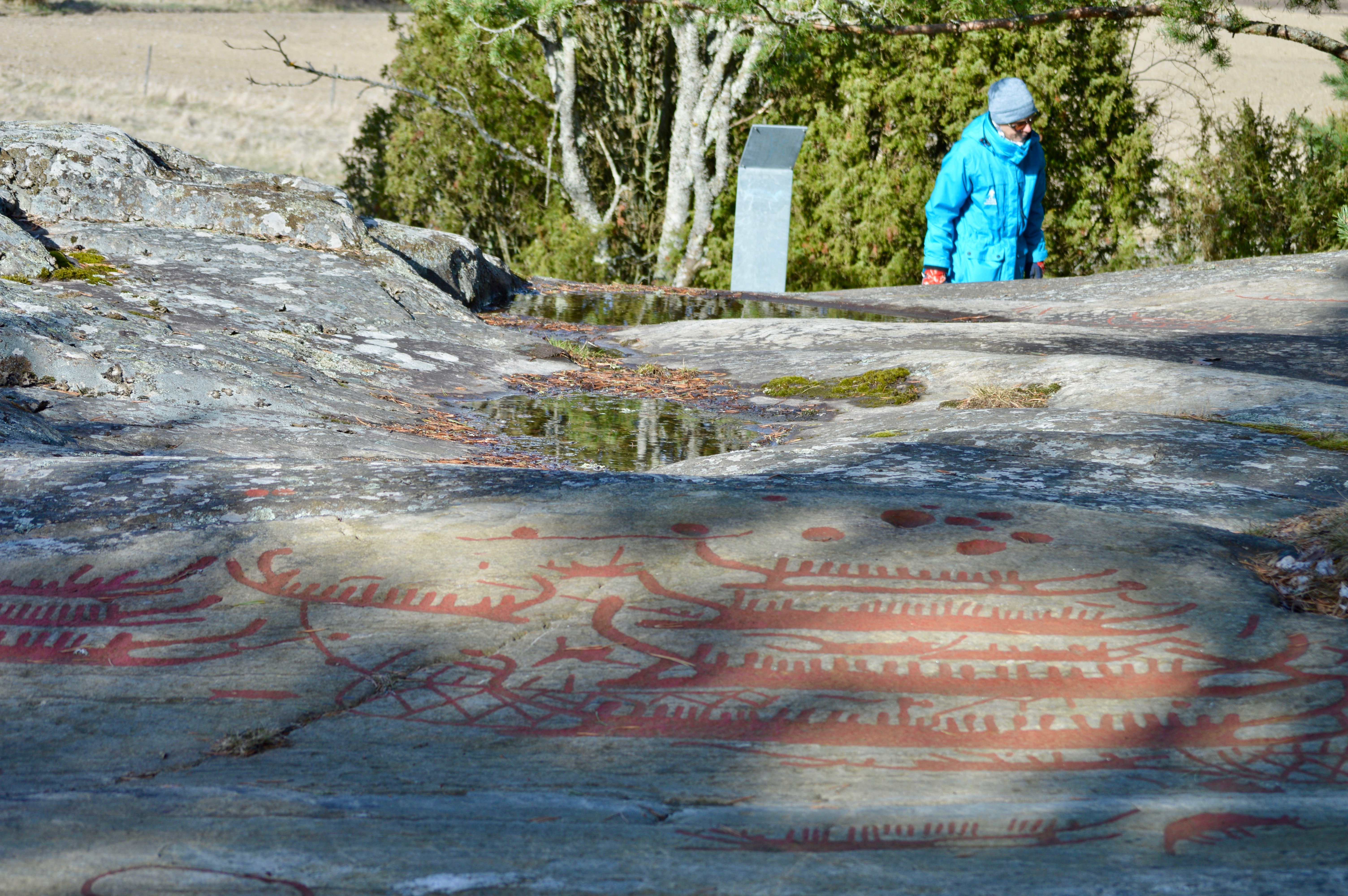 En kvinna står och tittar på en stor stenhäll med många ristningar.