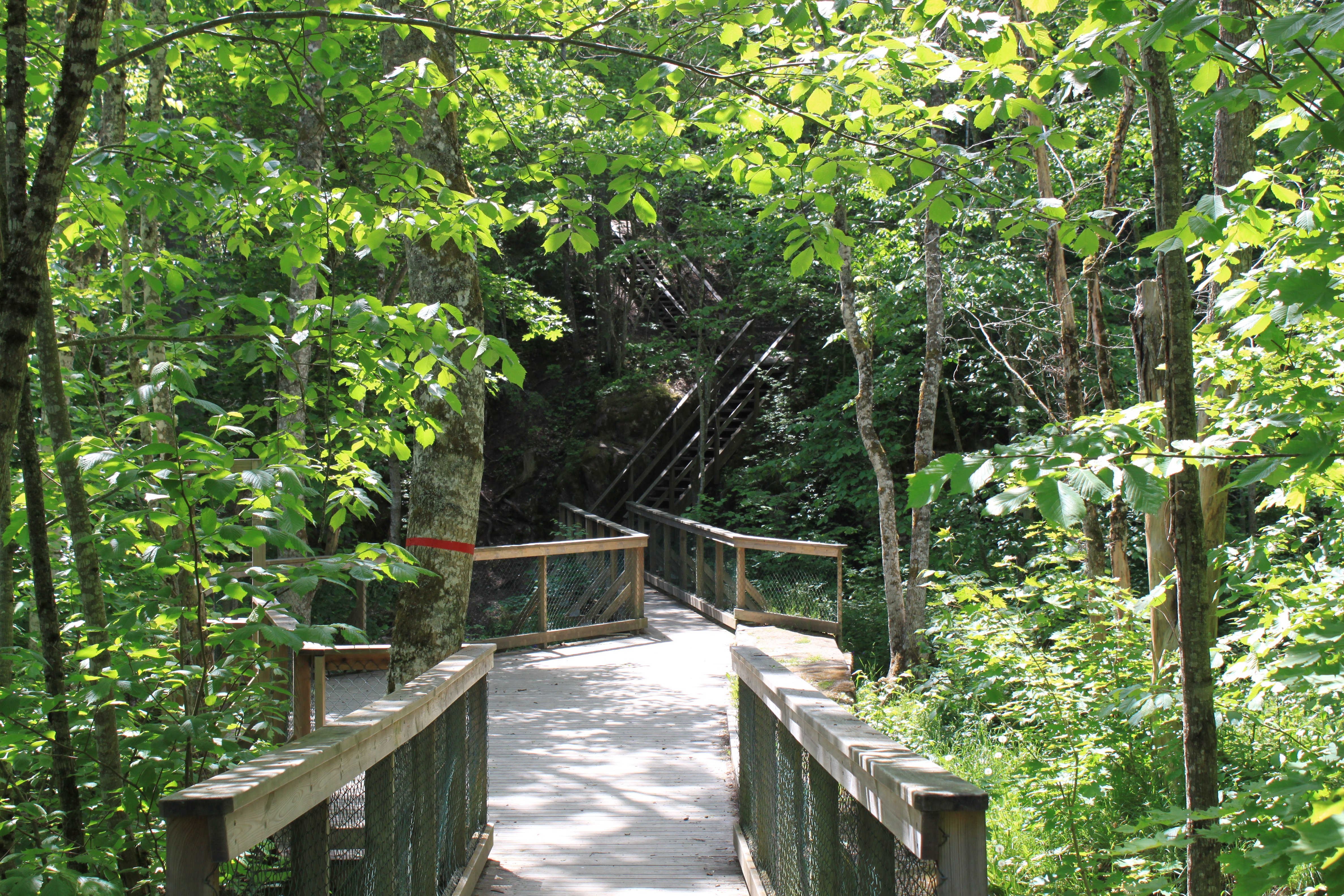 En bred spång med handräcken leder fram till en bro med handräcken. I bakgrunden står en hög, brant trappa som leder uppåt.