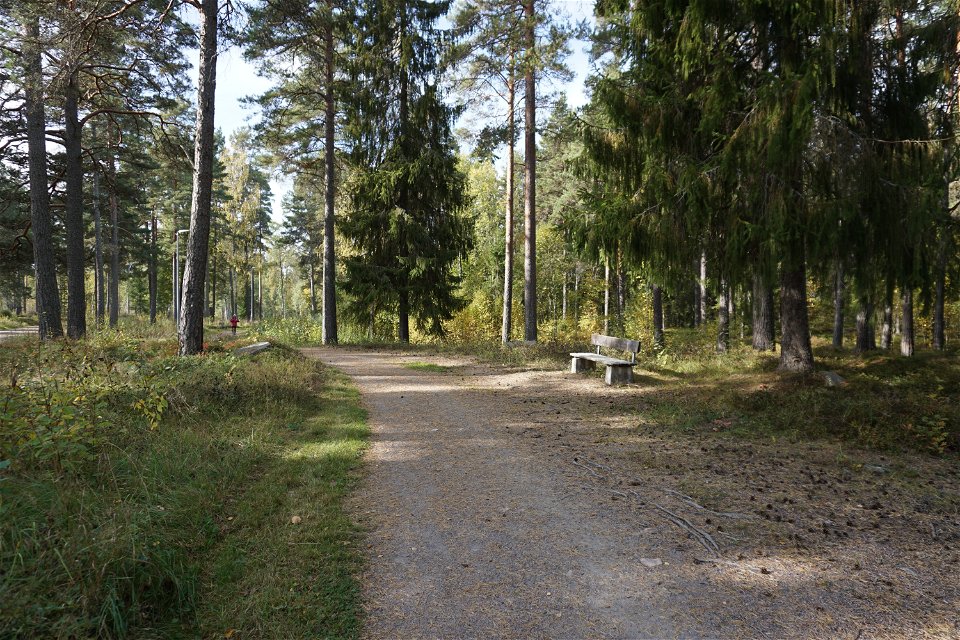 Kungsbäck motionsspår i skogsmiljö och en sittbänk vid sidan om spåret