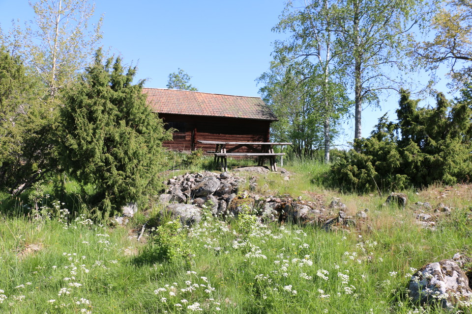 En betesmark med gräs, blommor, stenar, buskar och träd, ett rött hus och picknickbord.