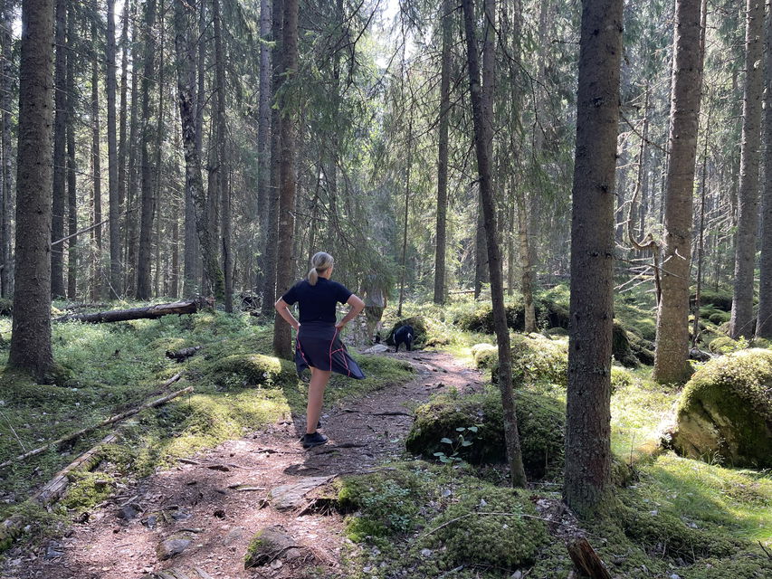 Längs med leden