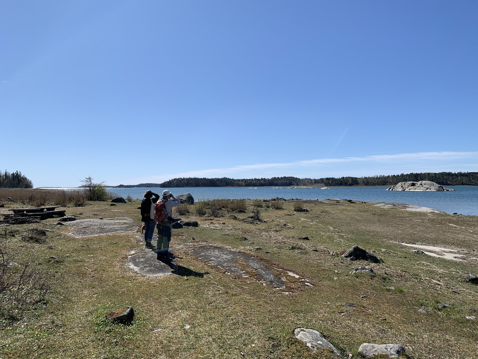 Näset är populärt bland fågelskådare. Foto: Länsstyrelsen Stockholm