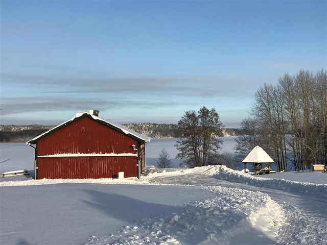 Lejondals naturreservat