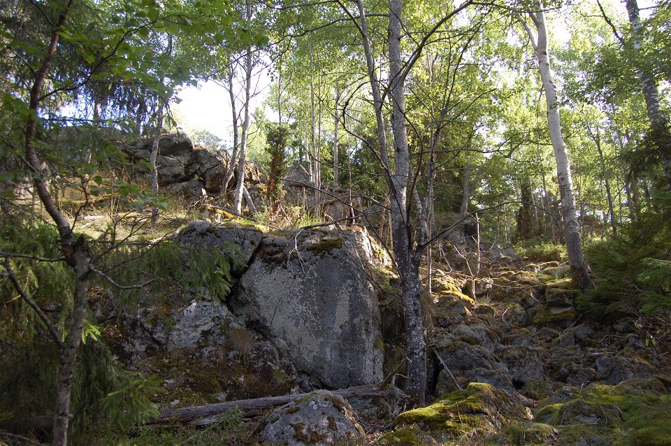 Stora Uringes naturreservat. 