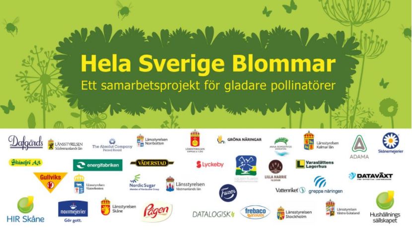 Samarbetspartners inom projektet Hela Sverige Blommar. Design: Hushållningssällskapet