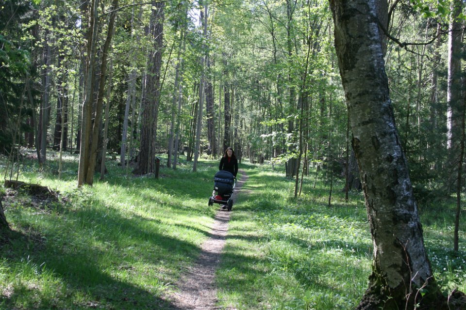 En kvinna med barnvagn går längs en smal stig genom skogen. Det växer grönt gräs på marken.