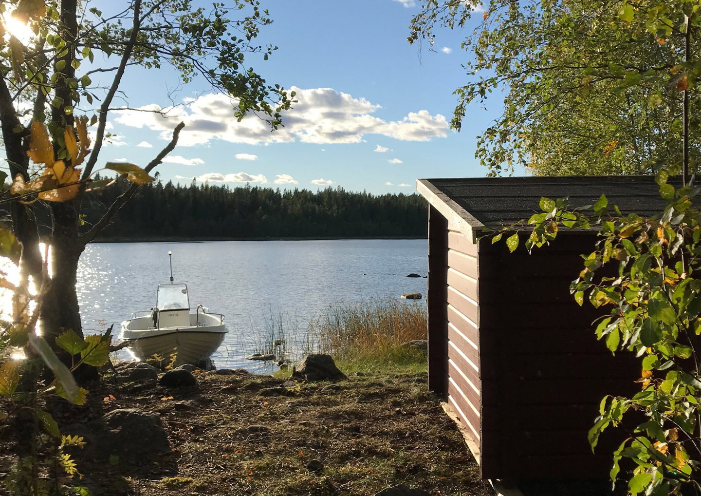 Foto: Östen Hansson