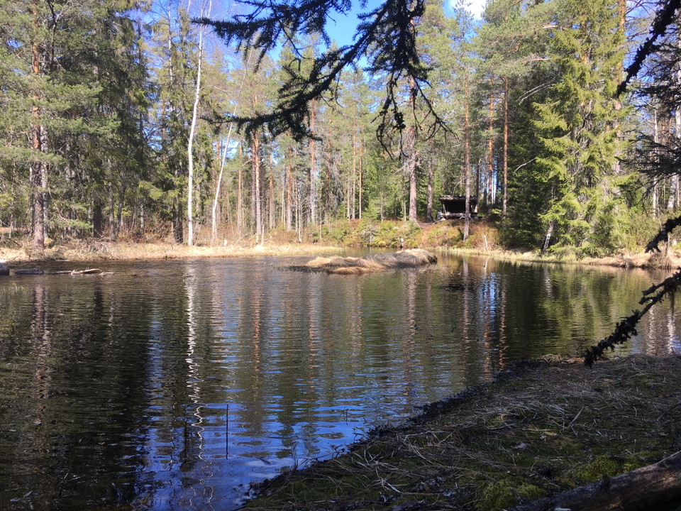 Hemulsjö