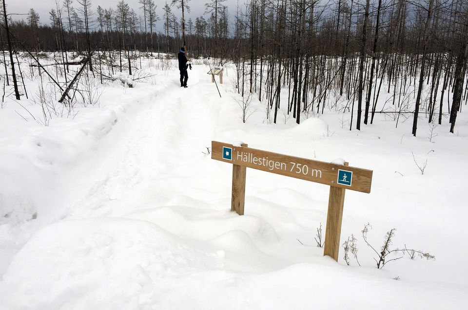 Vägvisningsskylt som visar mot Hällestigen. Slingan är 750 meter lång.