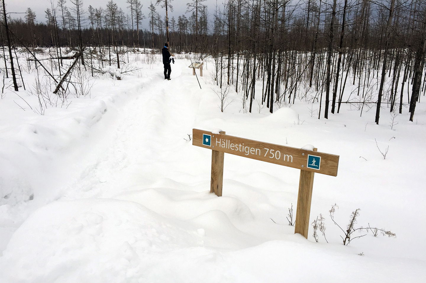 Vägvisningsskylt som visar mot Hällestigen. Slingan är 750 meter lång.