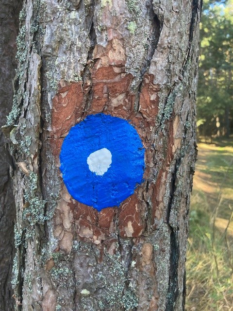 Stigmarkering, Korshamn