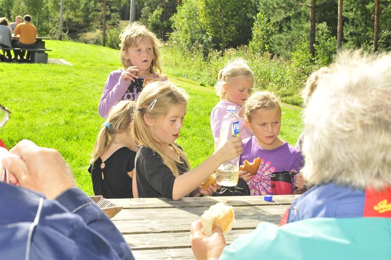 Trollbergtjern picnic area, Hærland