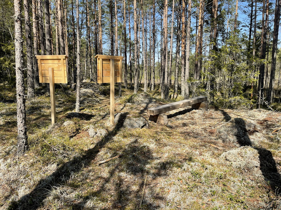 Baksidor på två informationsskyltar som står bredvid en träbänk i en glänta.