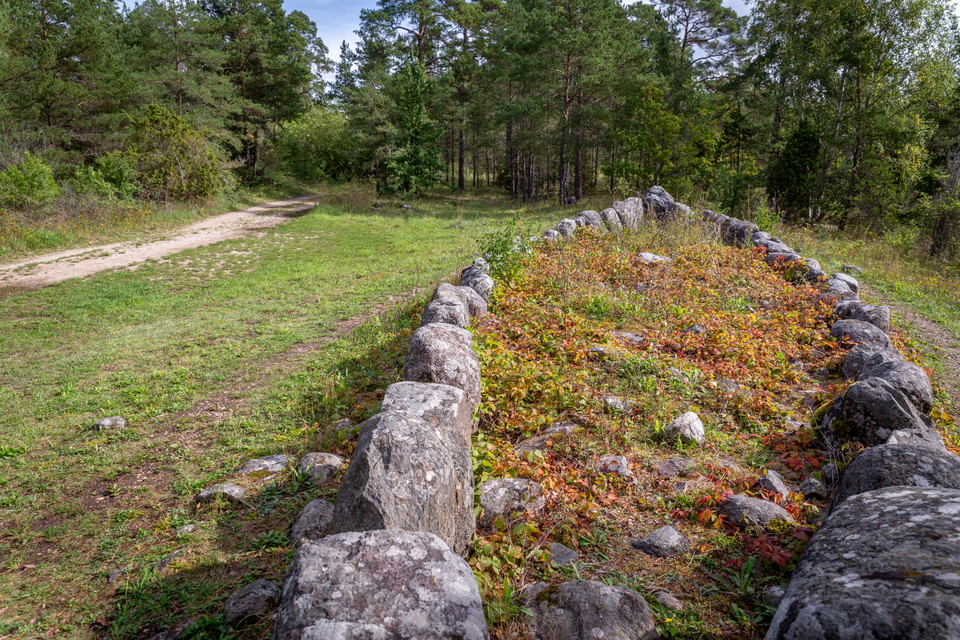 En skeppssättning i skogsmiljö, Flera större stenar placerade i formen av ett smalt skepp.
