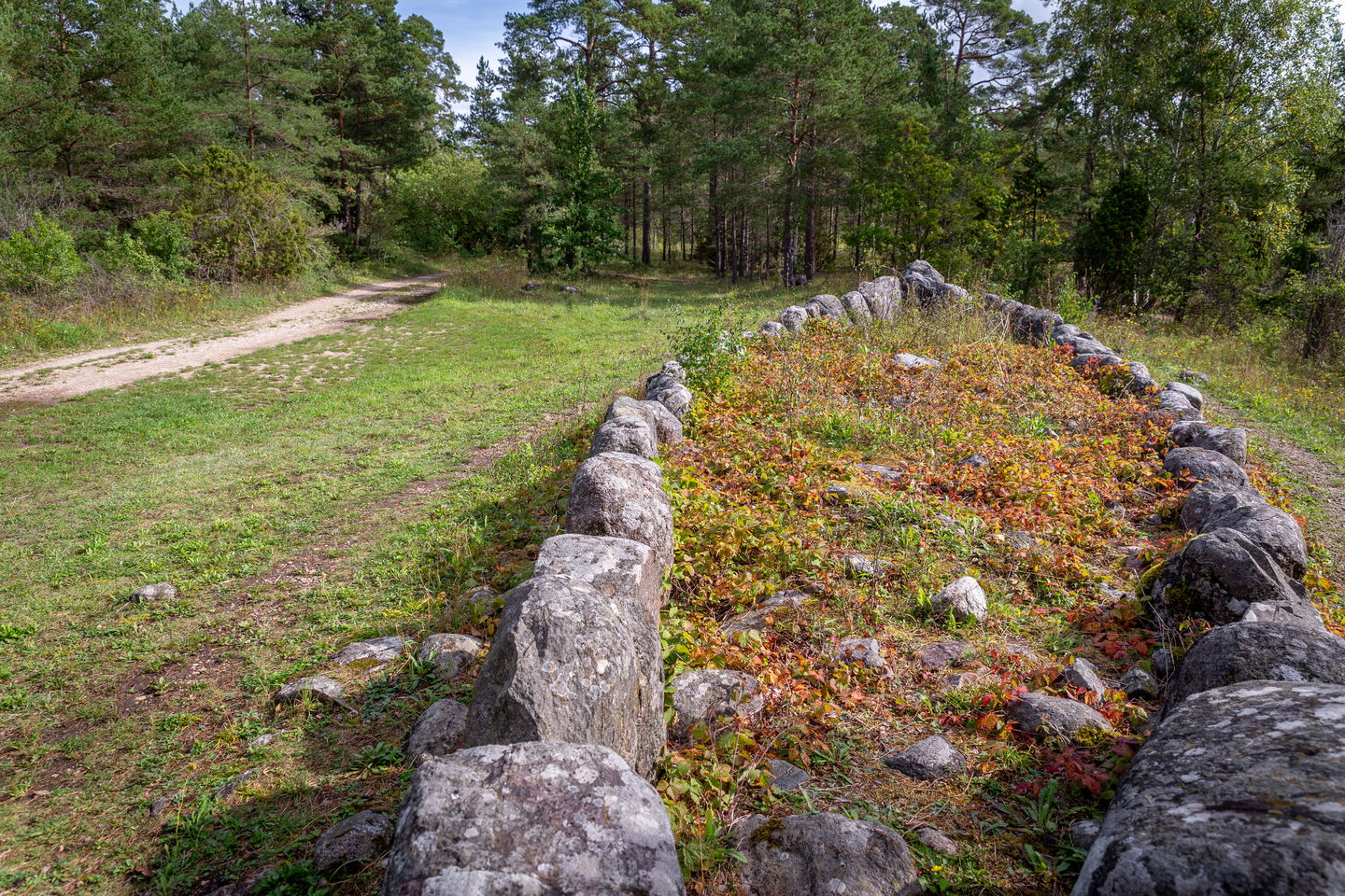 En skeppssättning i skogsmiljö, Flera större stenar placerade i formen av ett smalt skepp.