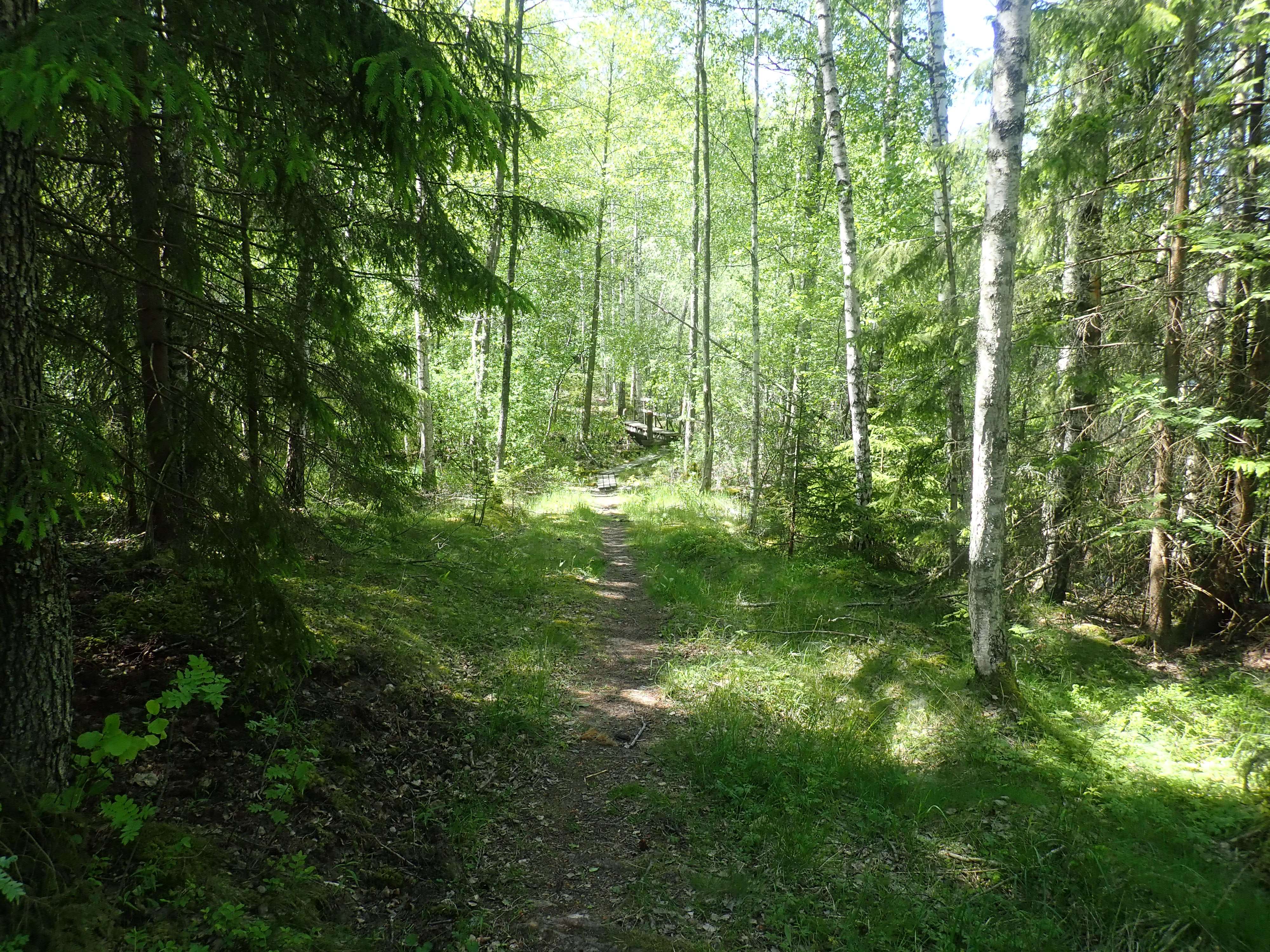 Holmsjöleden