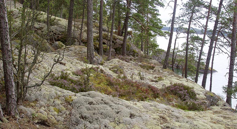 Norra Vätterns skärgård.