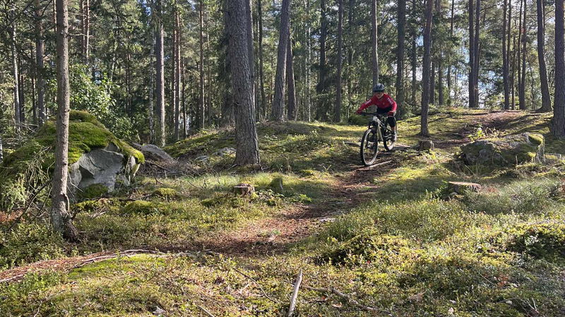 Gäddeholmsleden