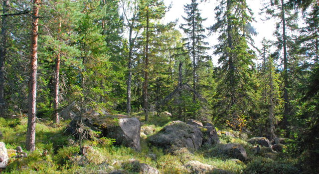 Berg-Annas berg, Naturreservat